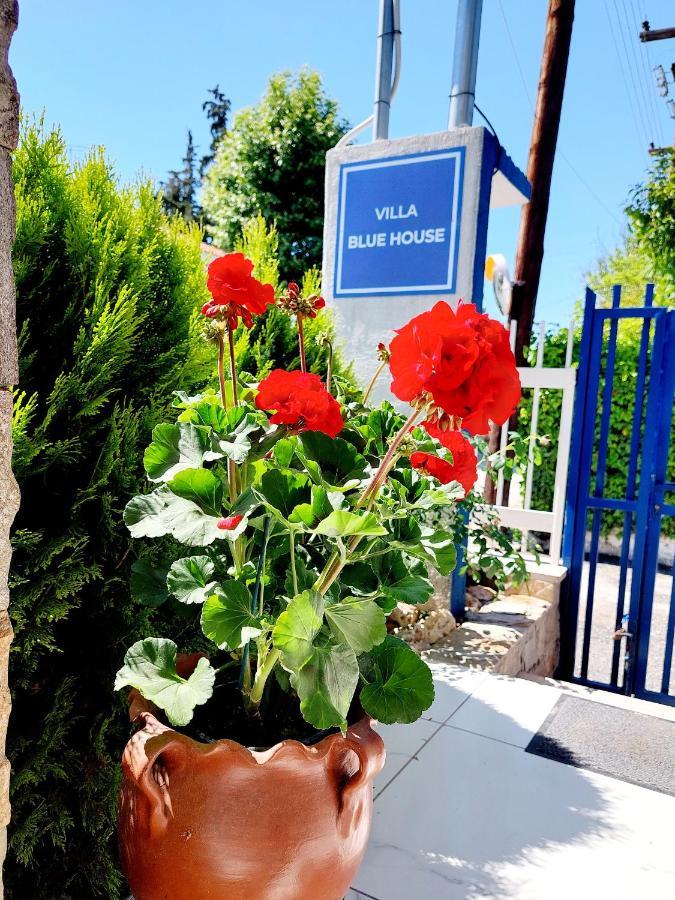 Villa Blue House Nea Kallikrateia 외부 사진